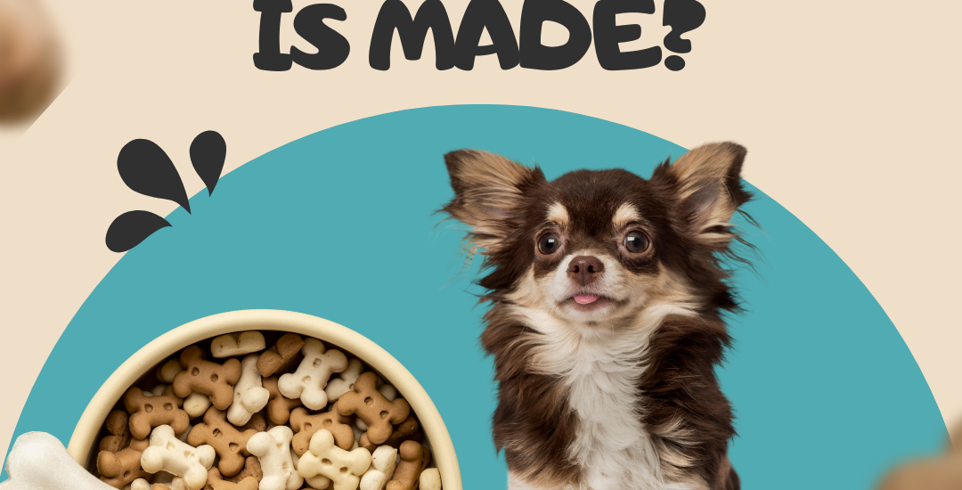 How dog food is made