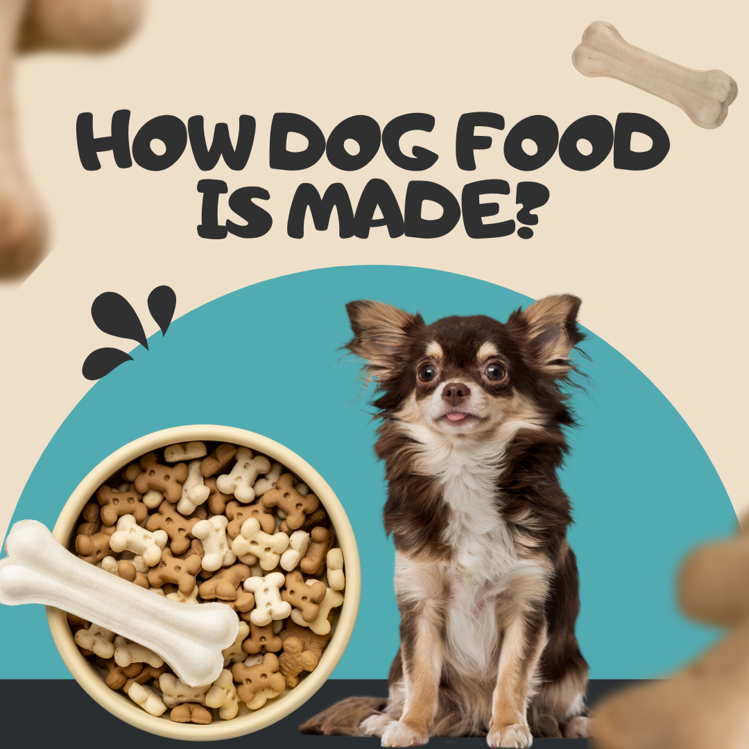 How dog food is made Cuddlytails