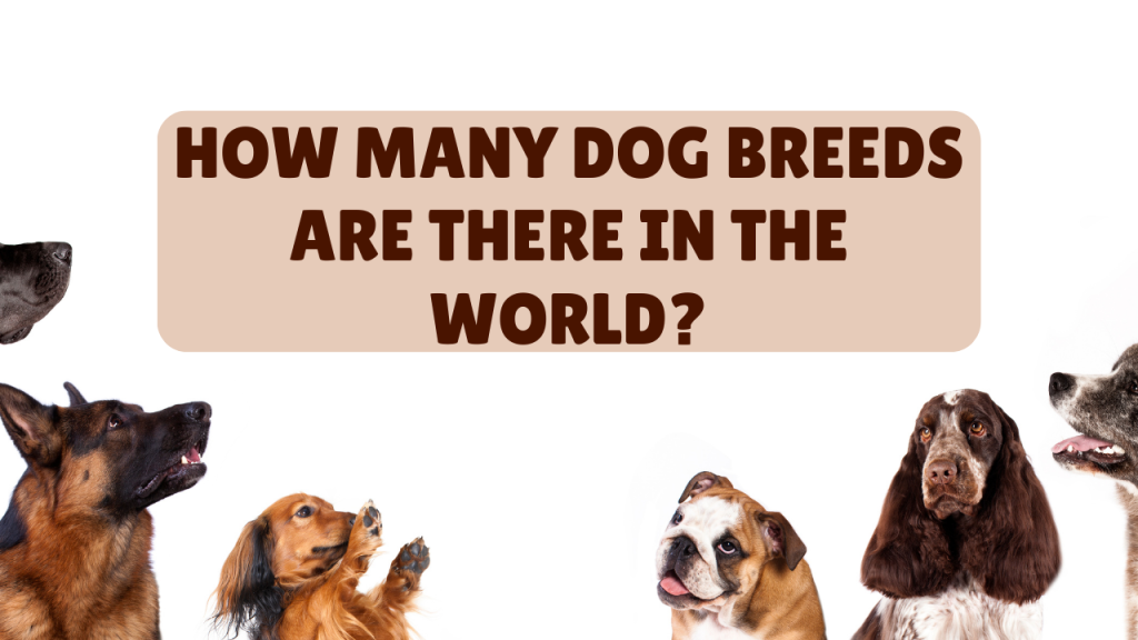 How many dog breeds are there in the world? Cuddlytails