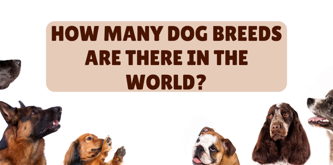 How many dog breeds are there in the world