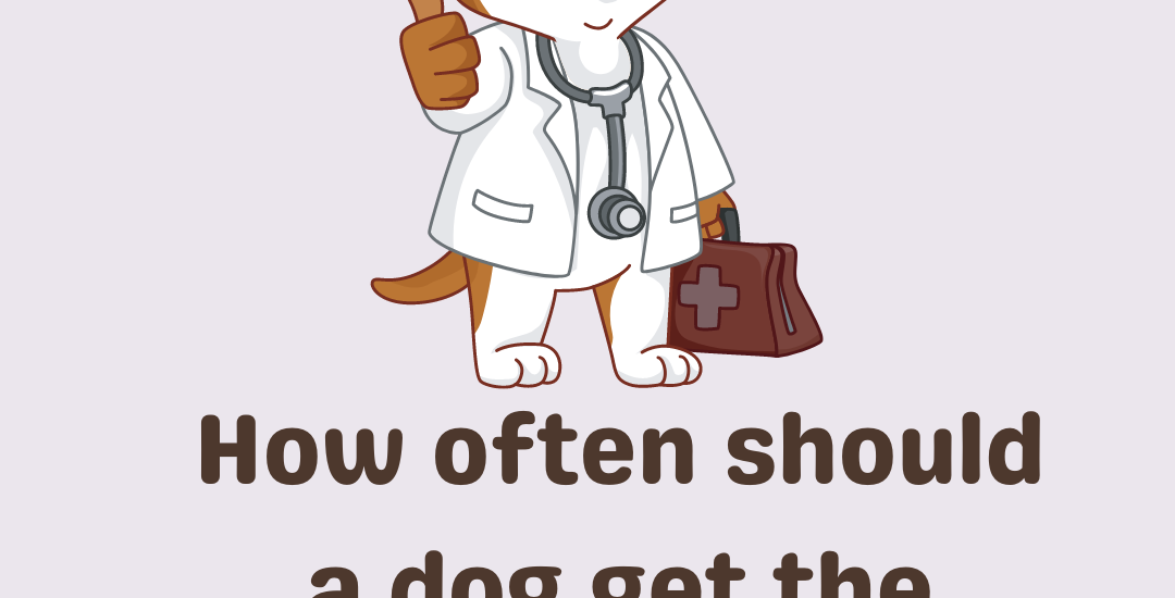 How often should a dog get the rabies vaccine?