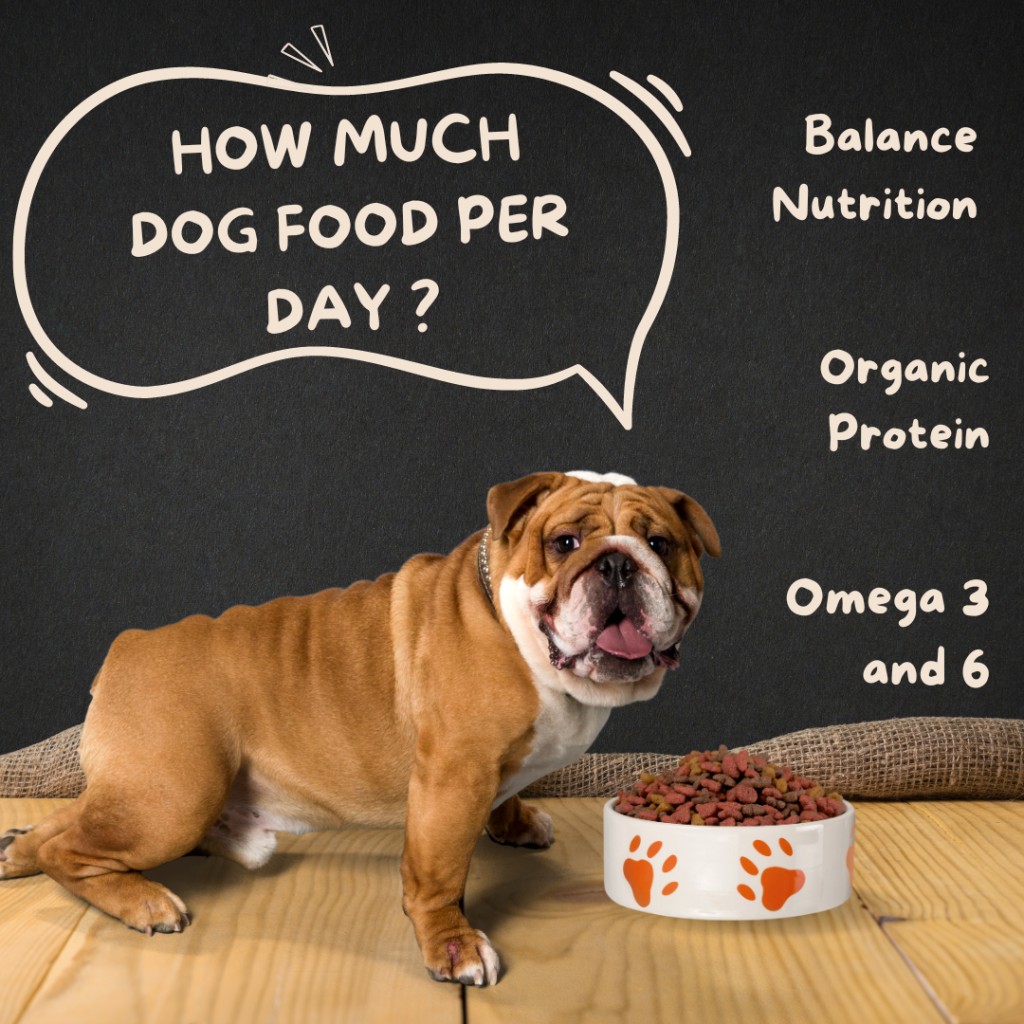 How much dog food per day? - Cuddlytails