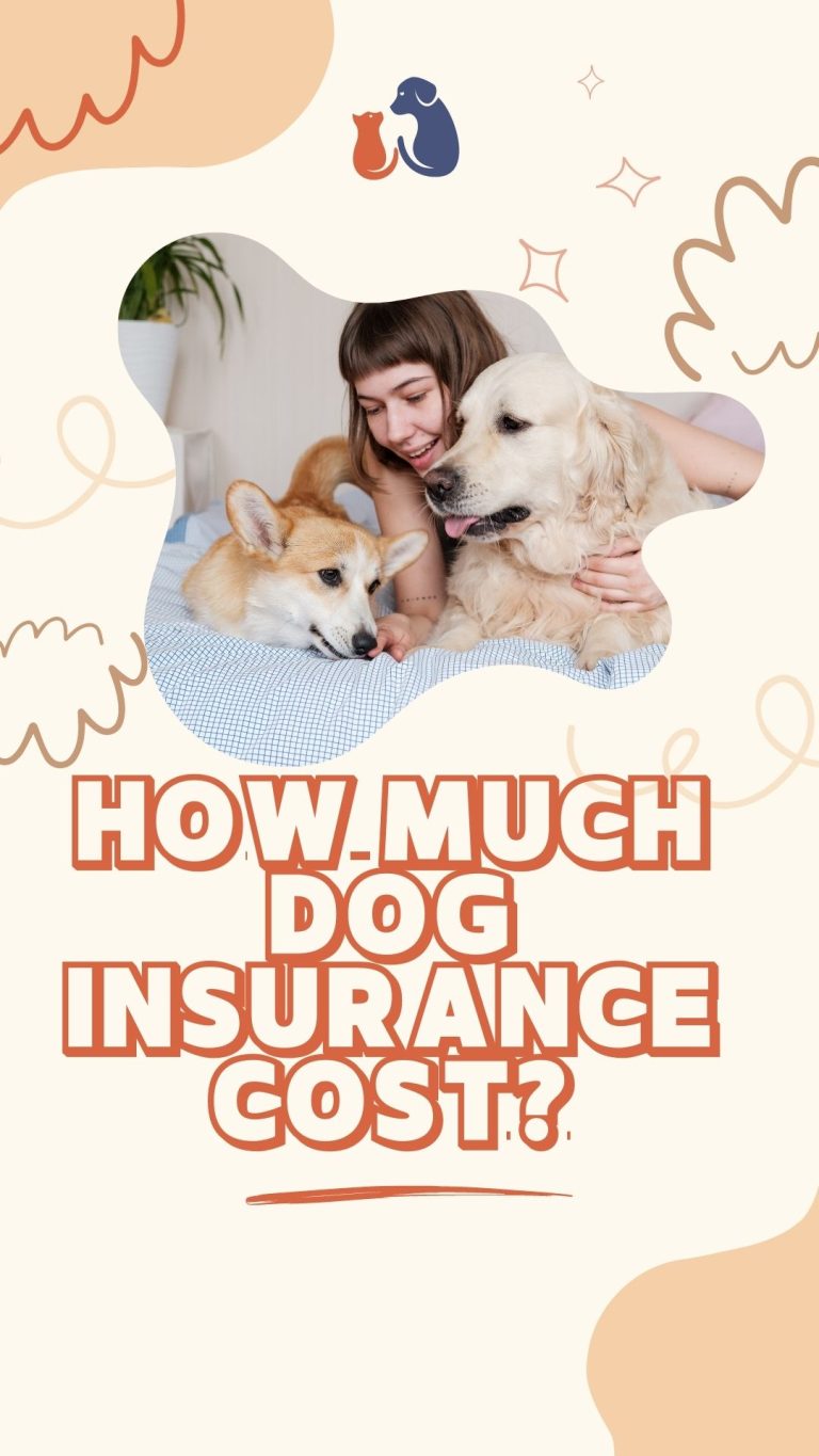 how-much-dog-insurance-cost-cuddlytails