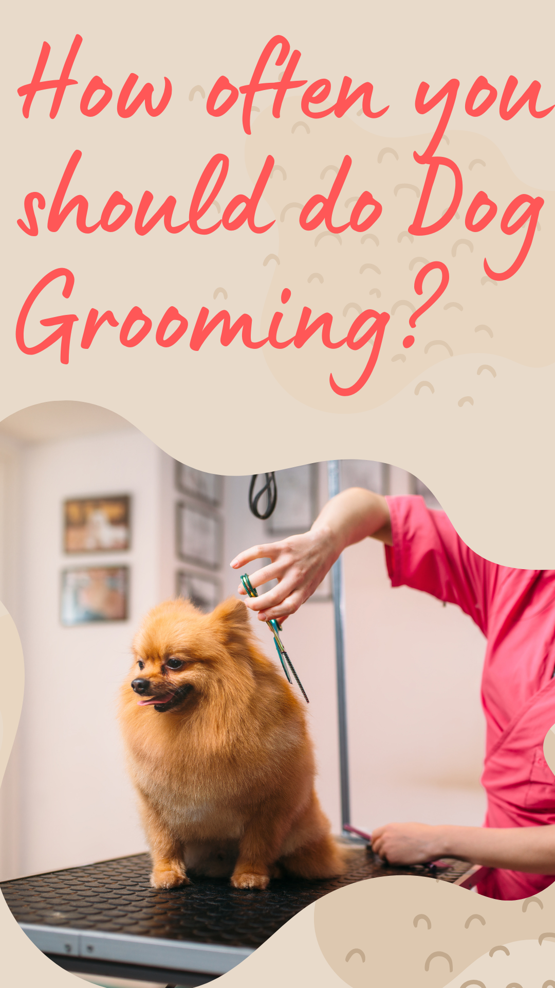 how long does dog grooming usually take