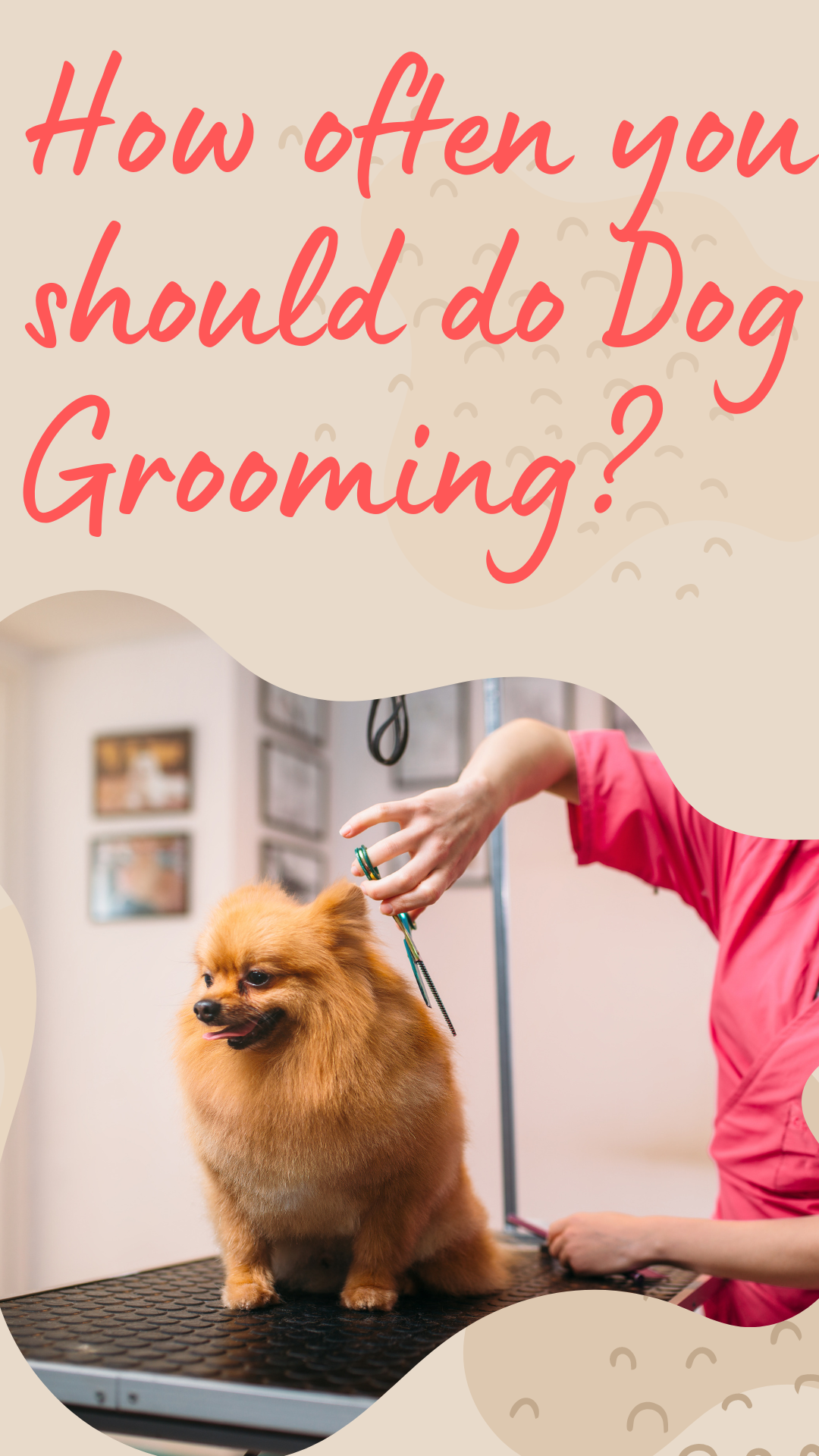 How Often You Should Do Dog Grooming Cuddlytails