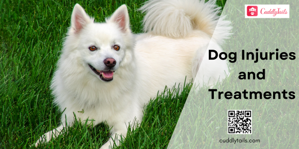 Common Dog Injuries And Treatments - Cuddlytails