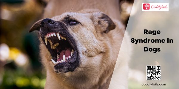 Rage Syndrome In Dogs