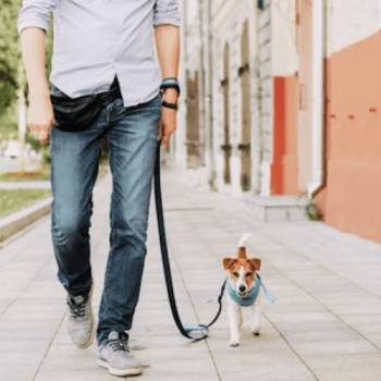 Dog Walker Job Baton Rouge, LA